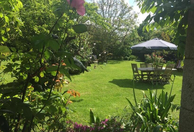 بنسيون La Maison Les Mimosas