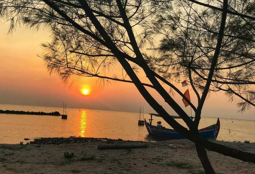 Pension Seabirds Bed And Breakfast