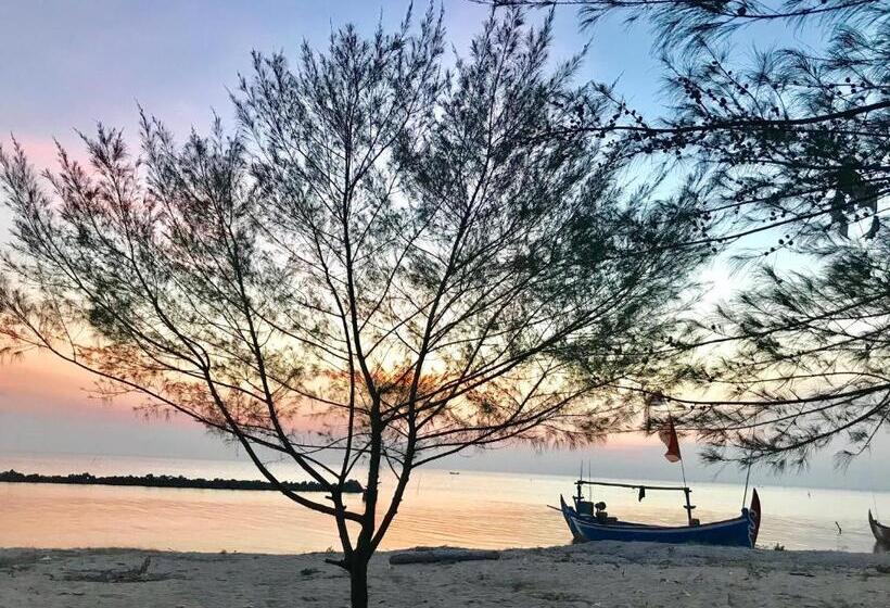 Pension Seabirds Bed And Breakfast