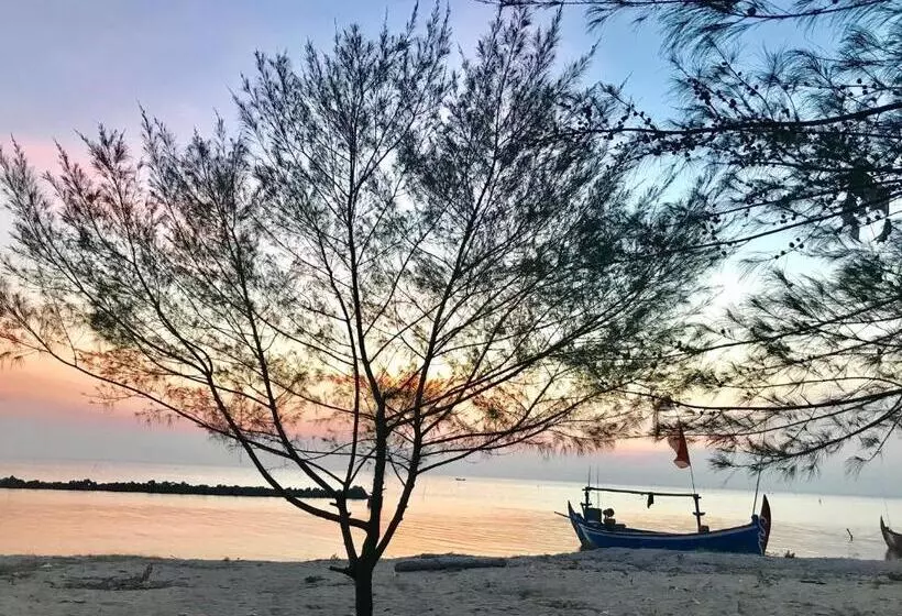 Pensão Seabirds Bed And Breakfast