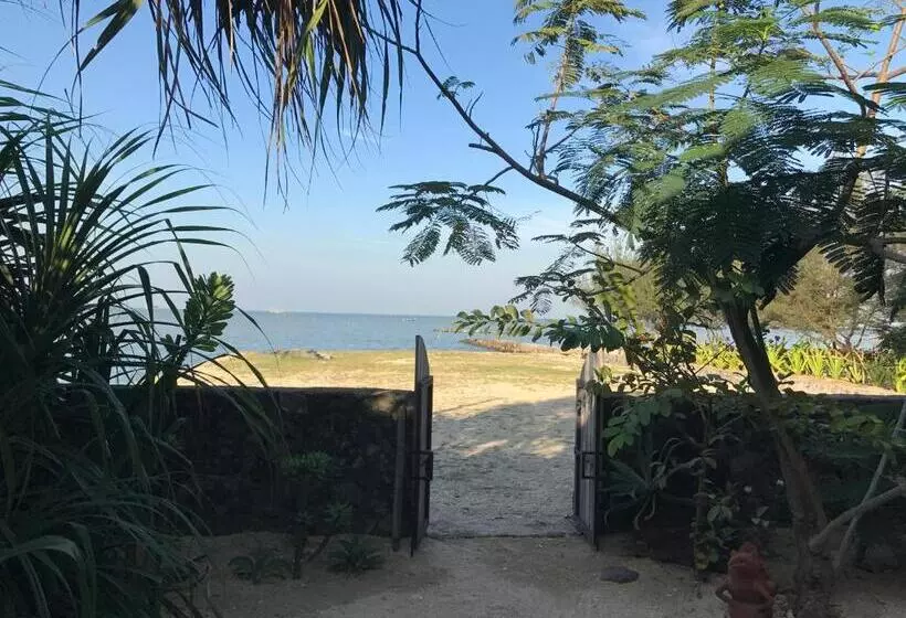 Pensão Seabirds Bed And Breakfast