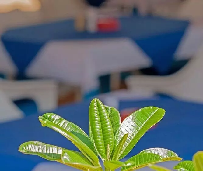 Cuba Agonda