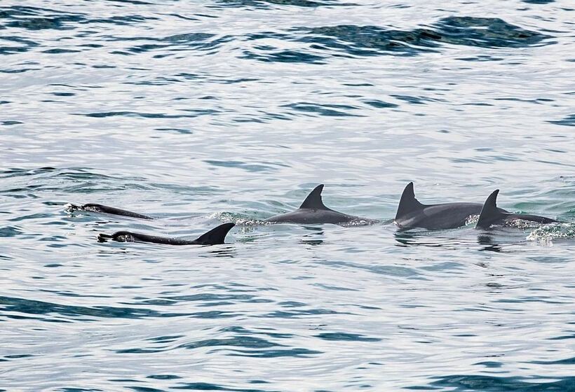 酒店 Canelands Beach Club