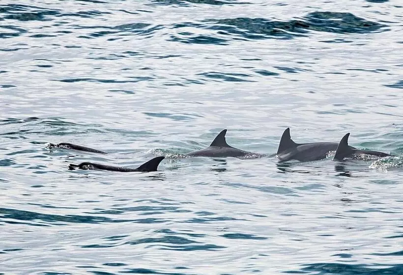 Отель Canelands Beach Club