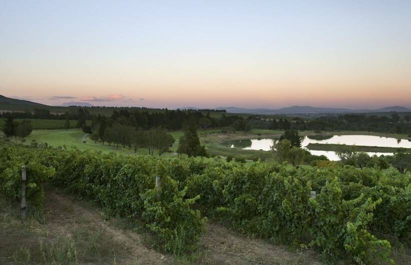 ホテル Devonvale Golf & Wine Estate