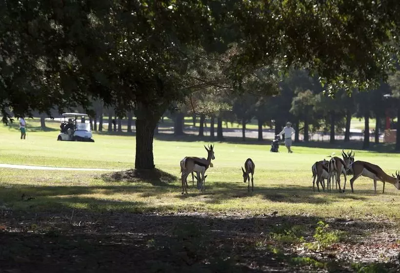 Отель Devonvale Golf & Wine Estate