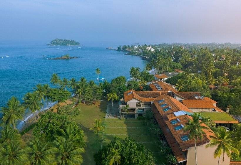 ホテル Earl S Reef