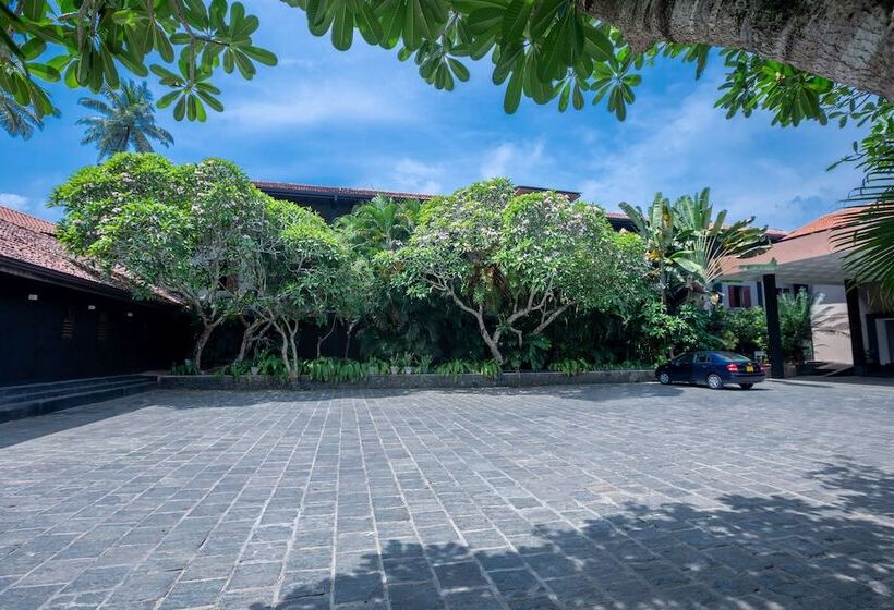 ホテル Earl S Reef