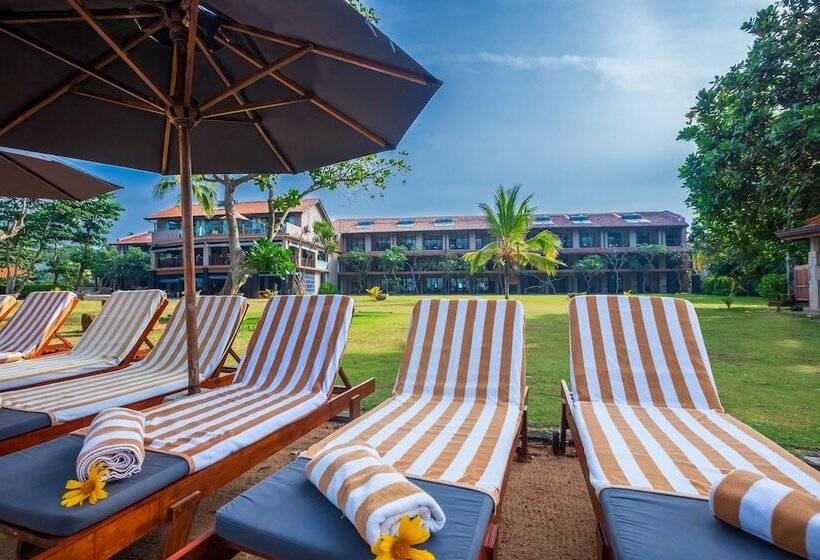 ホテル Earl S Reef