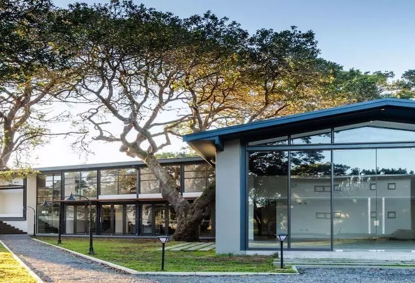 בית מלון כפרי Premier Resort The Moorings, Knysna