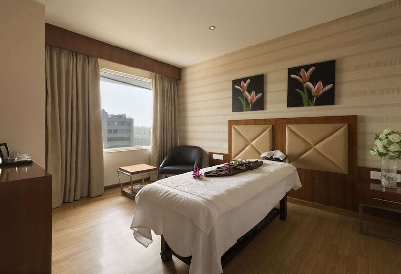 Hotel Ramada Ahmedabad