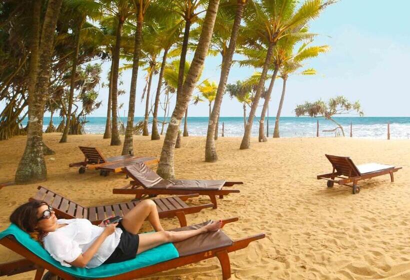 فندق Siddhalepa Ayurveda Resort All Meals Ayurveda Treatment And Yoga