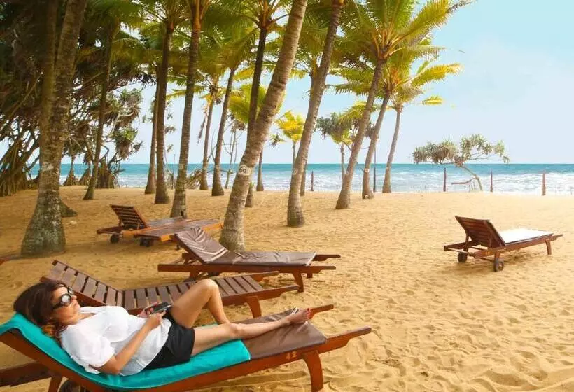 בית מלון כפרי Siddhalepa Ayurveda Resort  All Meals Ayurveda Treatment And Yoga