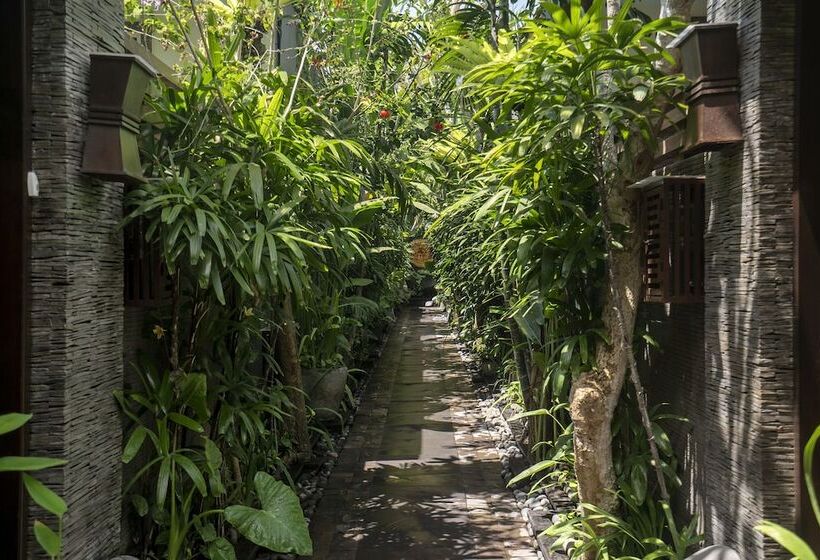 渡假胜地  The Bali Dream Villa Seminyak