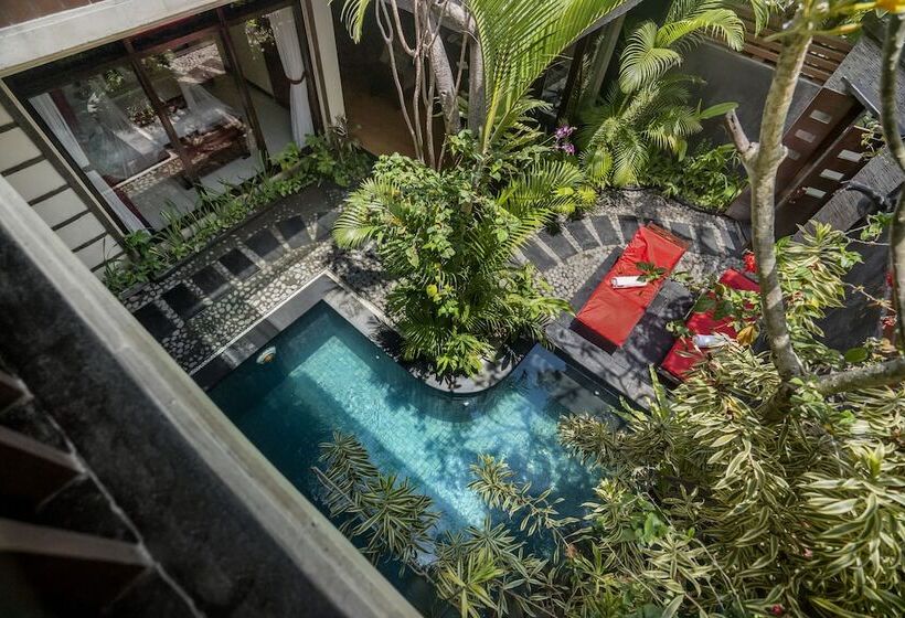 渡假胜地  The Bali Dream Villa Seminyak