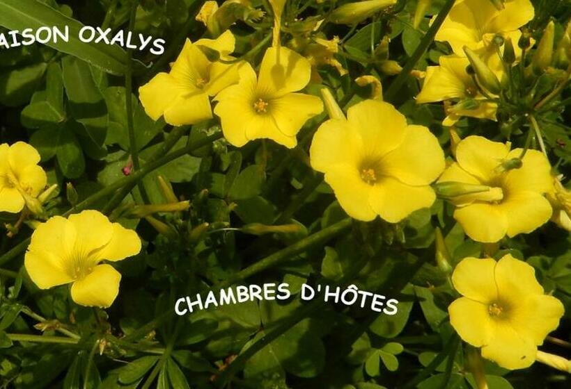 צימר Maison Oxalys