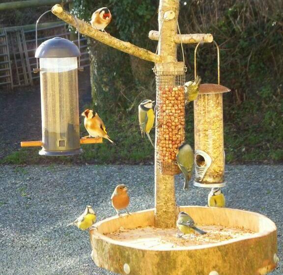 住宿加早餐  North Headborough