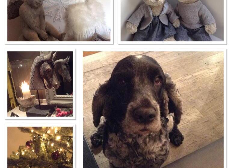 민박 Southfield : Stylish & Quiet In Bruges