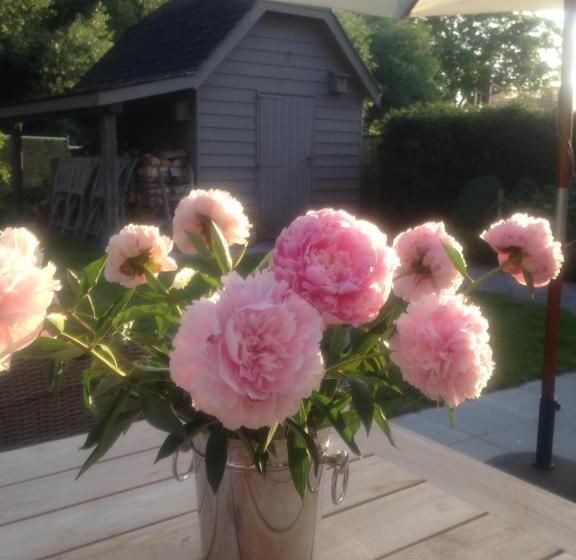 민박 Southfield : Stylish & Quiet In Bruges