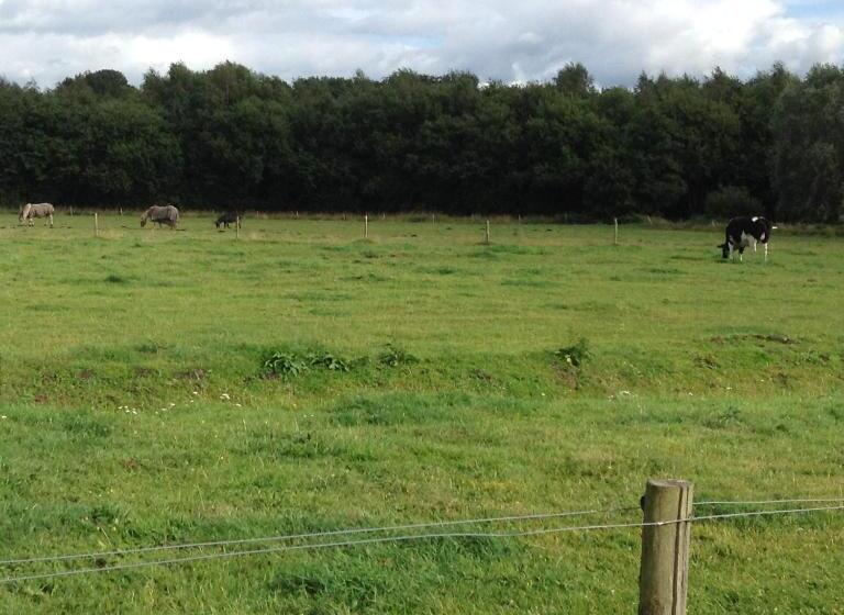 민박 Southfield : Stylish & Quiet In Bruges