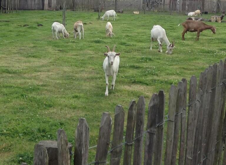 민박 Southfield : Stylish & Quiet In Bruges