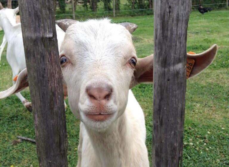 민박 Southfield : Stylish & Quiet In Bruges