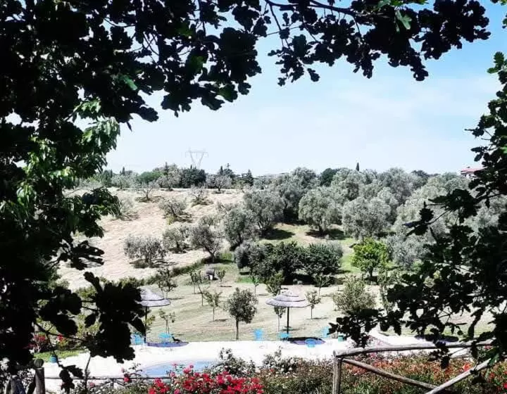 ホテル Angolo Di Paradiso