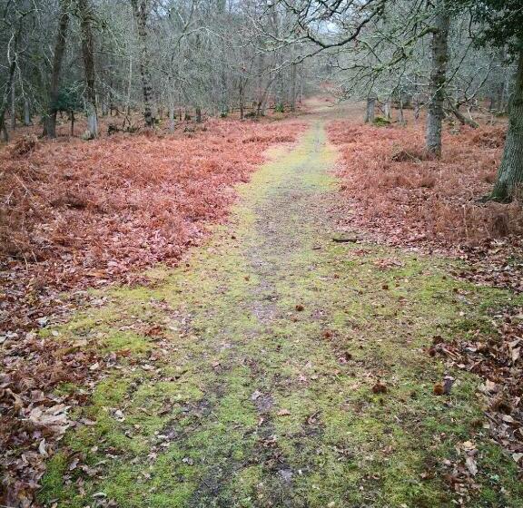 Pensjonat 4 Lyndhurst Rd