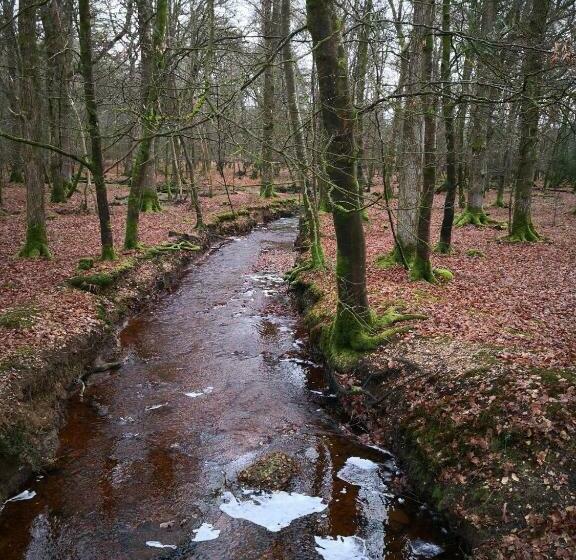 Pensjonat 4 Lyndhurst Rd