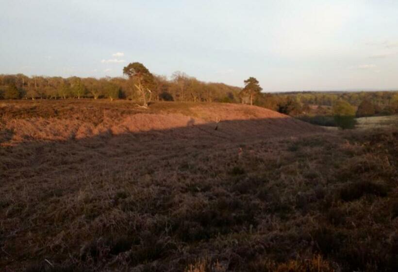 Pensjonat 4 Lyndhurst Rd