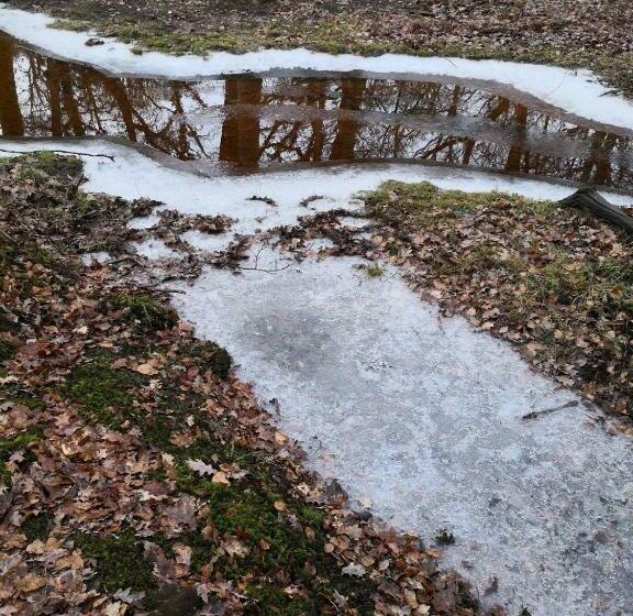 Pensjonat 4 Lyndhurst Rd