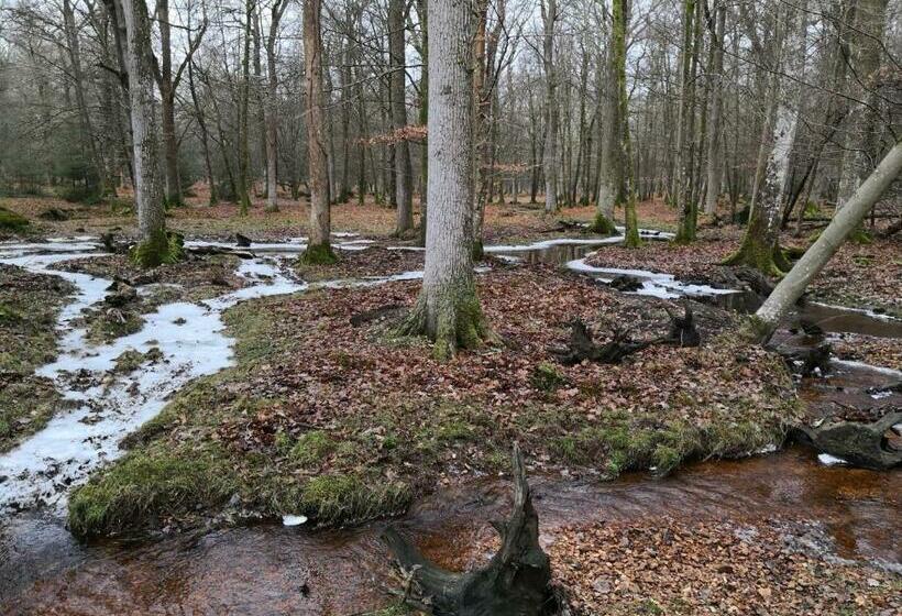 Pensjonat 4 Lyndhurst Rd