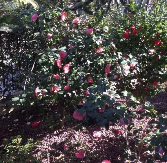 Majatalo La Via Romana Boutique Guest House