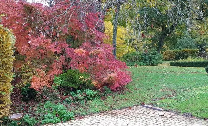 Aamiaismajoitus (B&B) La Taille De Biou