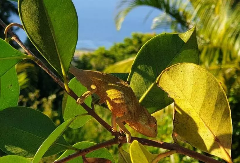 تختخواب و صبحانه Les Coeurs D Amants