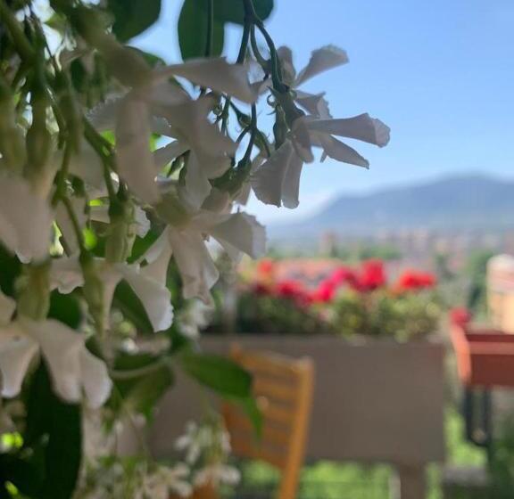 Bed And Breakfast San Valentino