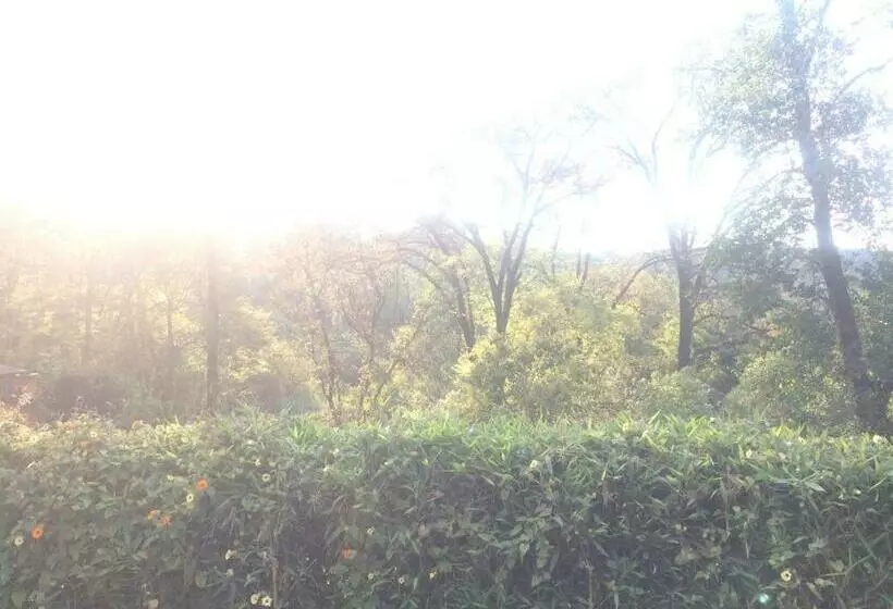 ホテル Rancho Las Joyas Cabañas
