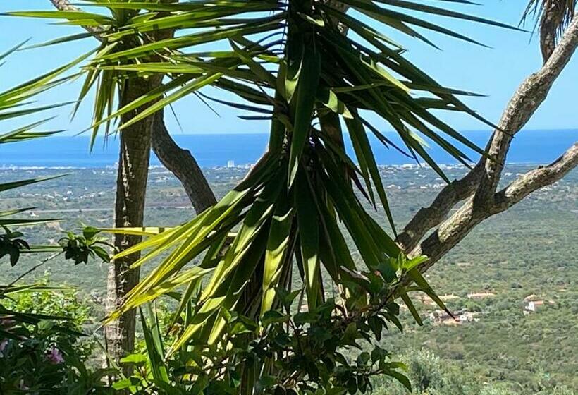 مبيت وإفطار Felicidade