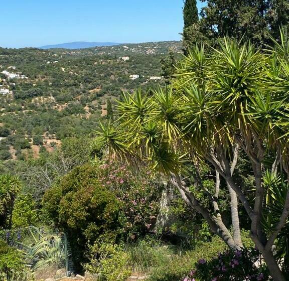 مبيت وإفطار Felicidade
