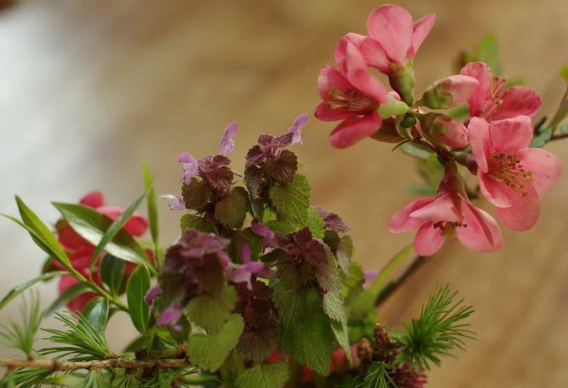 민박 Stützpunkt Trebitz   Gästezimmer Am Europaradweg R1