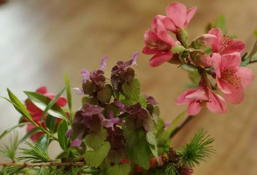 Aamiaismajoitus (B&B) Stützpunkt Trebitz   Gästezimmer Am Europaradweg R1