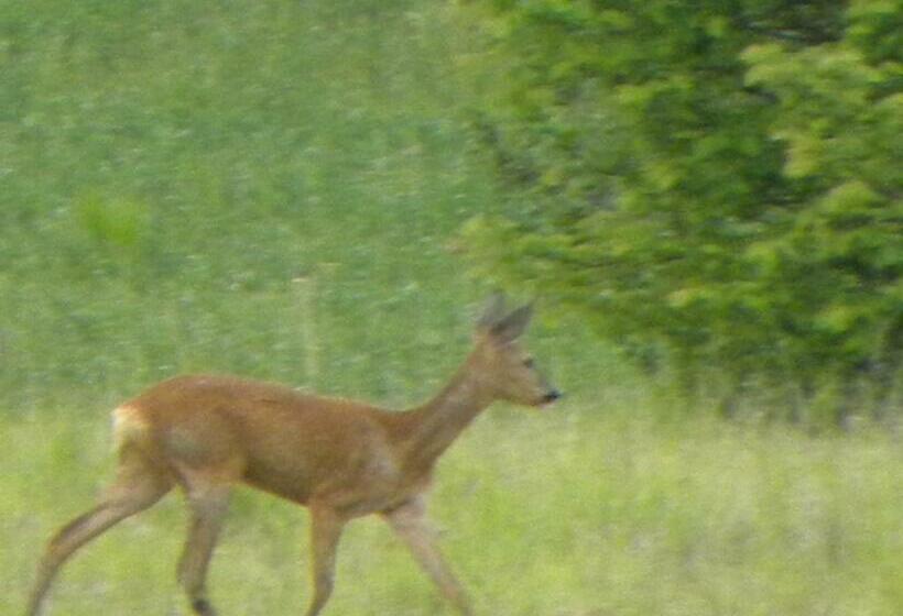 ベッドアンドブレックファースト Taillefer