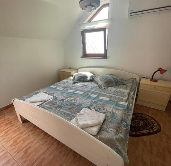 Отель Pensiunea Dora Sasca