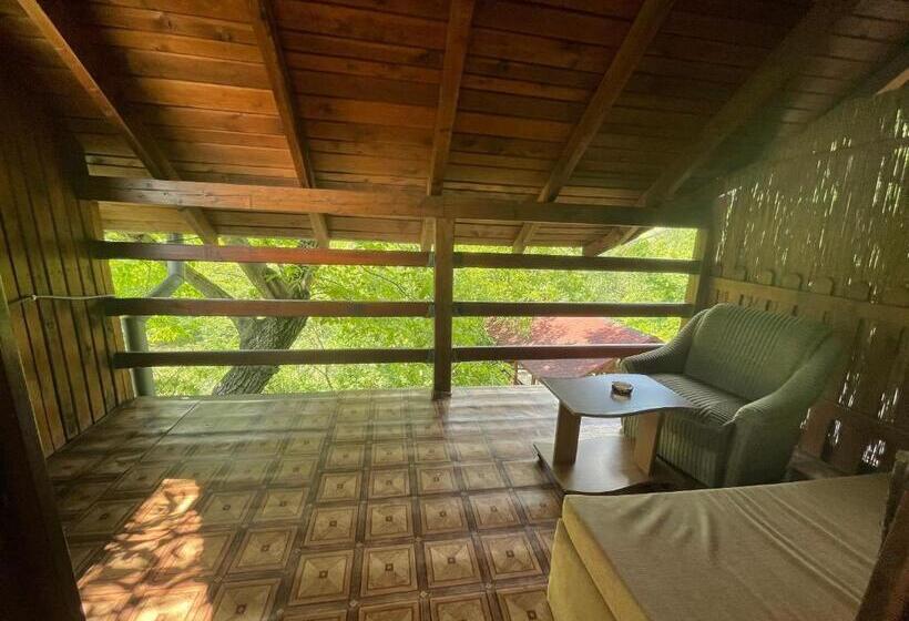 Отель Pensiunea Dora Sasca