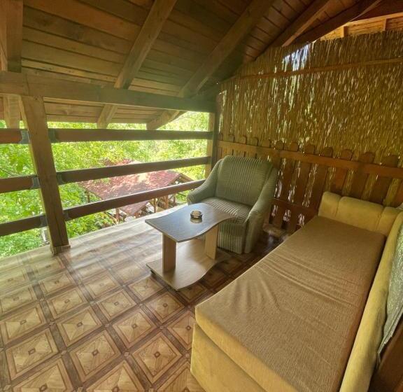 Отель Pensiunea Dora Sasca