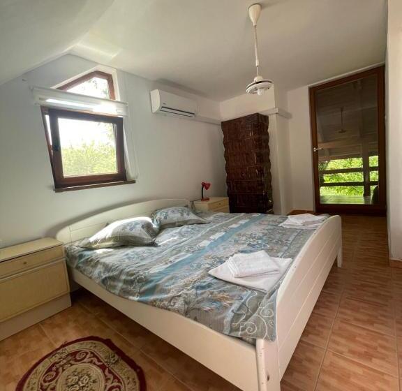 Отель Pensiunea Dora Sasca