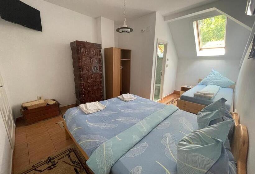 Отель Pensiunea Dora Sasca