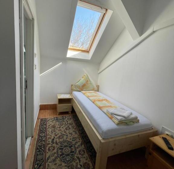 Отель Pensiunea Dora Sasca