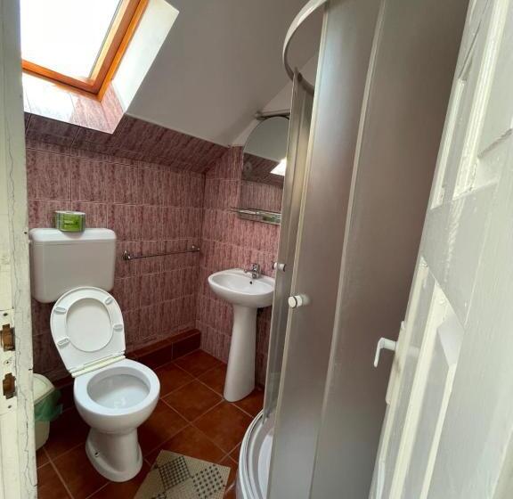 Отель Pensiunea Dora Sasca