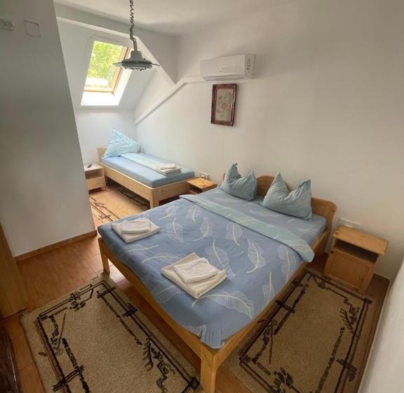 Отель Pensiunea Dora Sasca